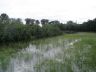 Hochwasser am Nonnenbach