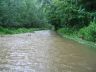 Hochwasser am Nonnenbach