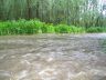 Hochwasser am Nonnenbach
