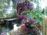 Orchideenhaus der Mainau
